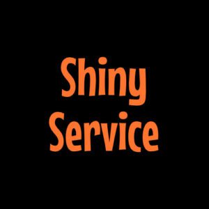 Shiny Service